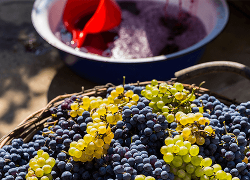 EXIM Tools Support Wine Industry Exports