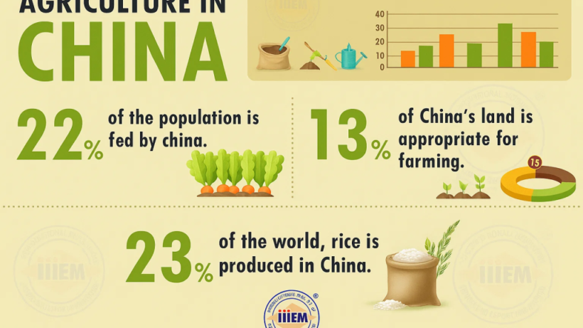 Top 5 Agricultural Producing Countries in World – Official Blog of iiiEM